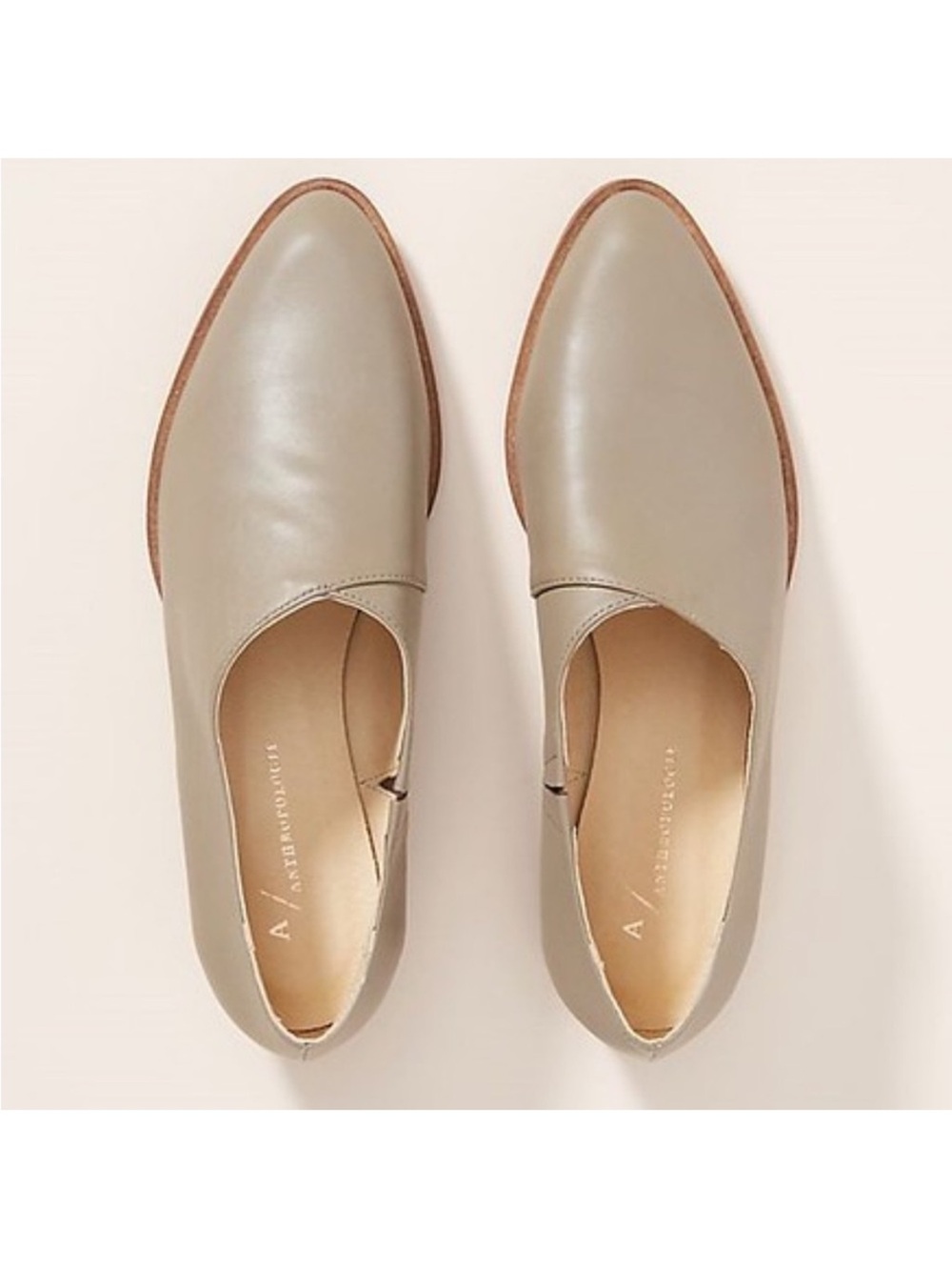 Anthropologie new in box ankle booties size 8